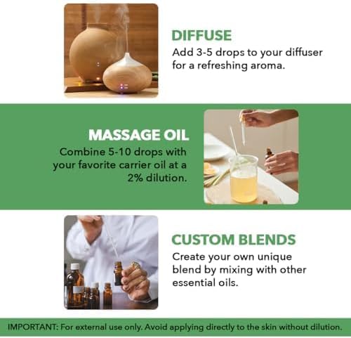 Majestic Pure Tea Tree Essential Oil for Diffuser - 2 Fl Oz | 100% Pure & Natural Ideal for diffuser use, aromatherapy, massage, soap making, candle making home fragrance