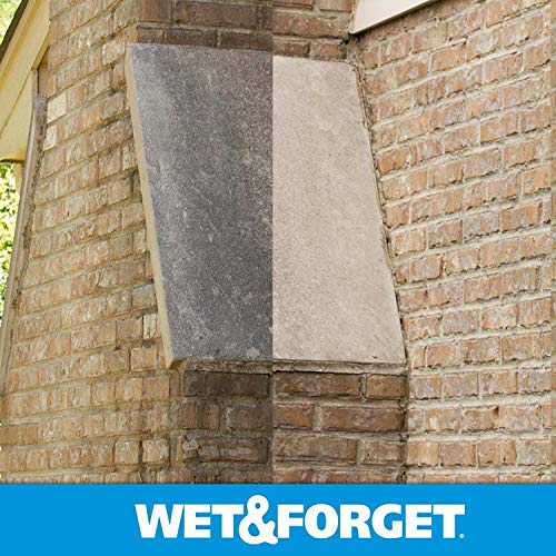 Wet & Forget Outdoor Cleaner & Stain Remover - Mold, Mildew & Algae, 64oz