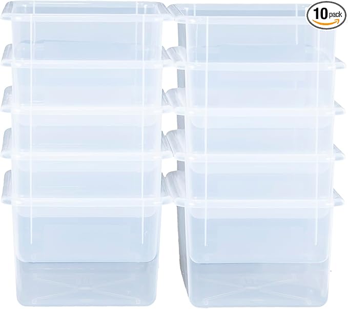 Wood Designs Cubby Storage Bin, Heavy Duty Plastic Containers for Kids Translucent Clear Cubby Tray Set of 10