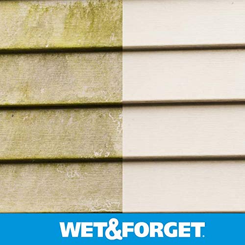 Wet & Forget Outdoor Cleaner & Stain Remover - Mold, Mildew & Algae, 64oz