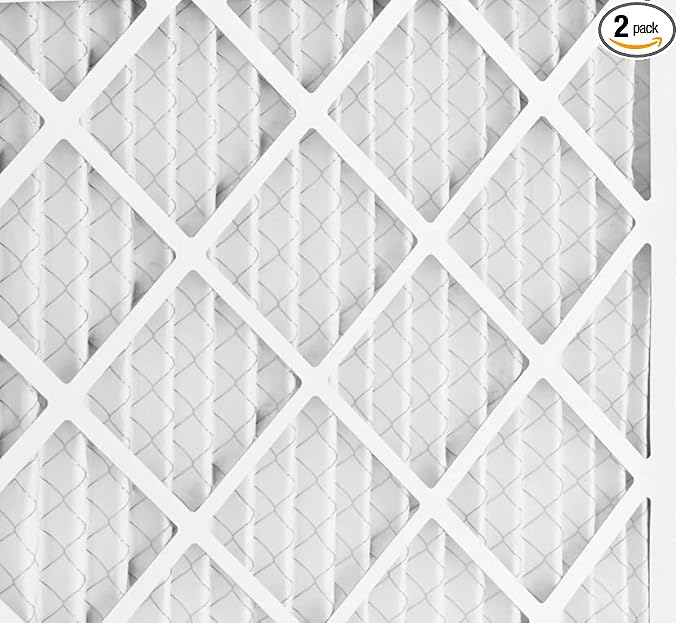 BNX TruFilter 20x20x5 (19.88’’ x 19.88’’ x 4.38‘’ Honeywell Compatible 4”) MERV 11 Air Filter (2-Pack) - MADE IN USA - HVAC AC Furnace Filters Health, Allergies, Mold, Bacteria, Smoke, MPR 1200 FPR 7