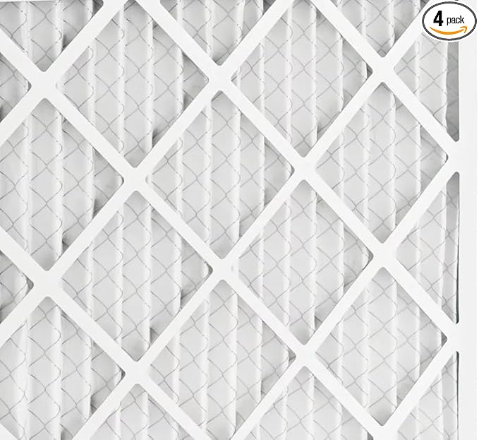 BNX TruFilter 20x25x1 MERV 10 (4-Pack) AC Furnace Air Filter - MADE IN USA - Pleated Air Conditioner HVAC AC Furnace Filters - Removes Odor, Mold, Bacteria, Smoke