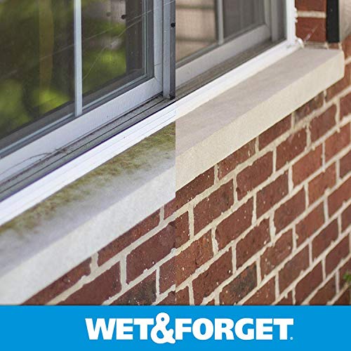 Wet & Forget Outdoor Cleaner & Stain Remover - Mold, Mildew & Algae, 64oz