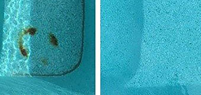 ATIE Pool Pumice Stone with EZ-Clip Handle to Reomve Erase Rust Stain Spot in Concrete Plaster Pool Spa and Calcium Deposit on Pool Tile (3 Pack)