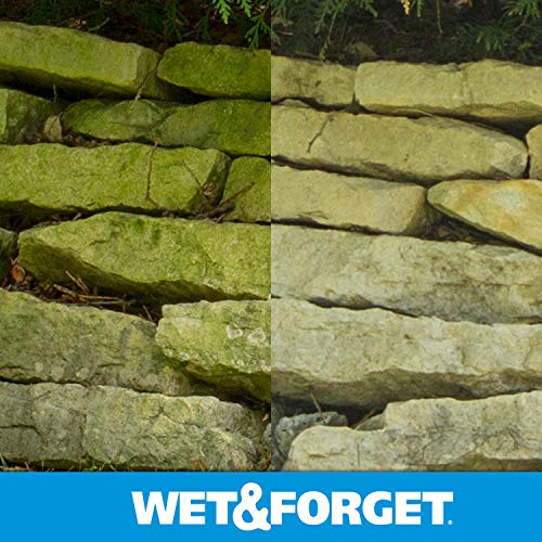 Wet & Forget Outdoor Cleaner & Stain Remover - Mold, Mildew & Algae, 64oz