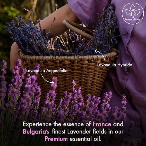 Majestic Pure Lavender Essential Oil for Diffuser - 4 Fl Oz | 100% Natural Essentials Oils Ideal for Relaxing Tense Mood, Eliminating Odor, Creating Peaceful Atmosphere for Sleep & Work