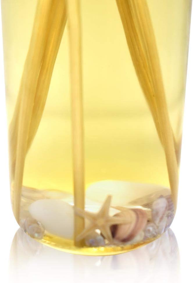 Reed Diffuser Set, Ocean Mist & Sea Salt - Bathroom Décor | Made with Essential Oils & Real Seashells, Decorative Air Freshener Room Diffuser