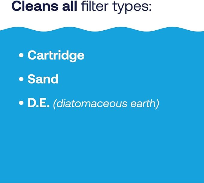 HTH 67227 Swimming Pool Care Filter Cleaner, Quickly and Effectively Cleans and Prolongs Life of Pool Filter, Improves Filtration Efficiency, Compatible with All Filter Types, 32oz