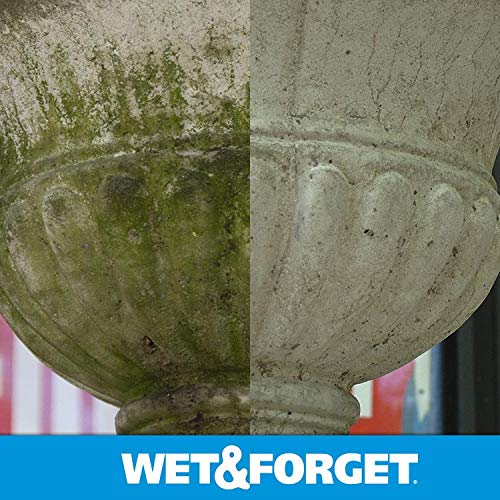 Wet & Forget Outdoor Cleaner & Stain Remover - Mold, Mildew & Algae, 64oz