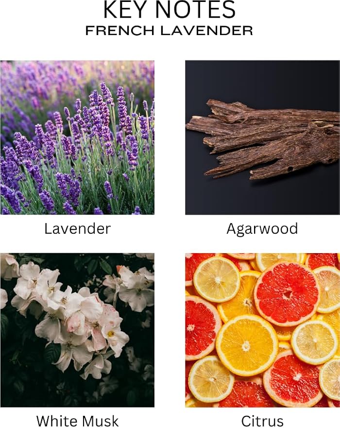 PEANÄK Reed Diffuser Set - French Lavender Fragrance 6.7oz (200 ml) - 2 Pack Real Preserved Flowers & Reed Sticks for Home & Office Bathroom Shelf Décor with Long Lasting Gift Scents