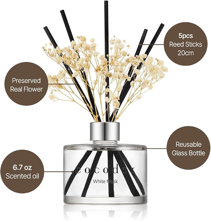 COCODOR Preserved Real Flower Reed Diffuser/Pure Cotton / 6.7oz(200ml) / 2 Pack/Reed Diffuser Set, Oil Diffuser & Reed Diffuser Sticks, Home Decor & Office Decor, Fragrance and Gifts