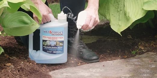 Wet & Forget Outdoor Cleaner & Stain Remover - Mold, Mildew & Algae, 64oz