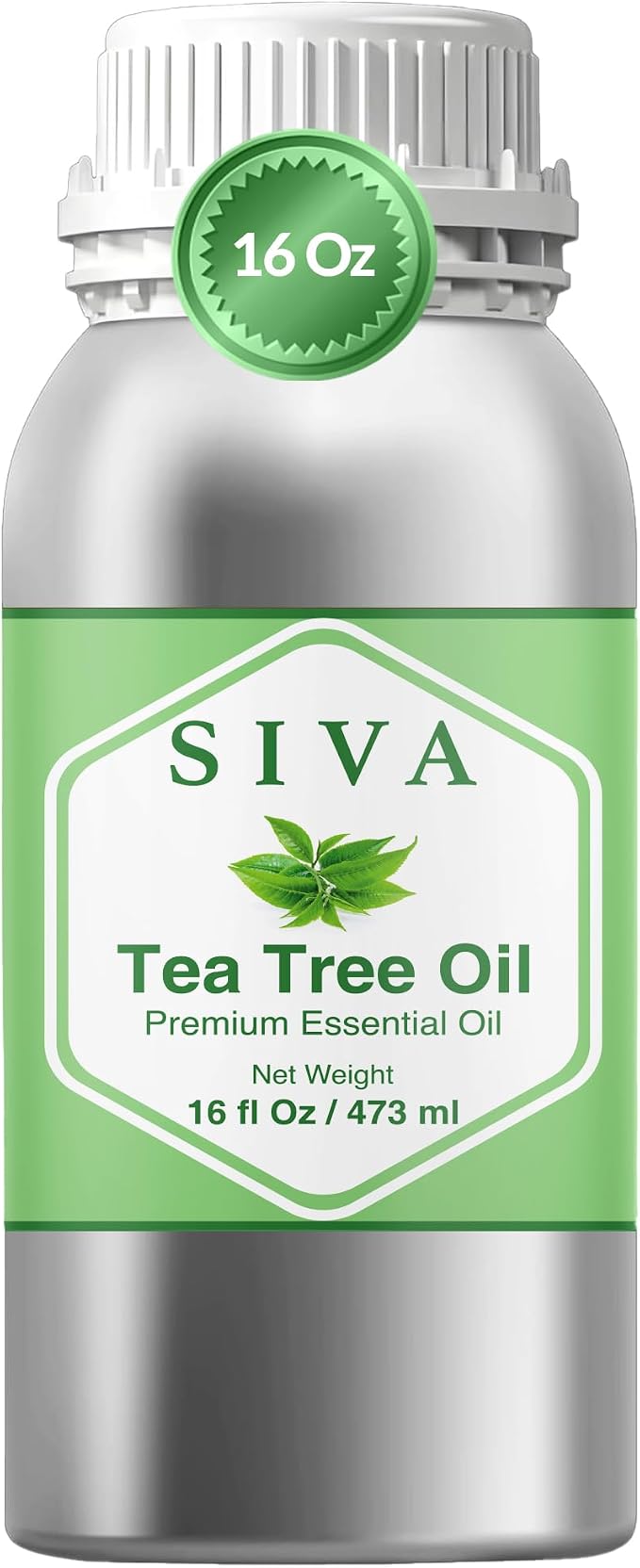 Siva Tea Tree Essential Oil, Huge Bottle, Large Size, 16 Fl Oz (473 ml) | Tea Tree Oil for Hair Care, Scalp Care, Face Care, Skin Care, Nail Care, Diffuser, Humidifier, Soap Making & DIY Blending