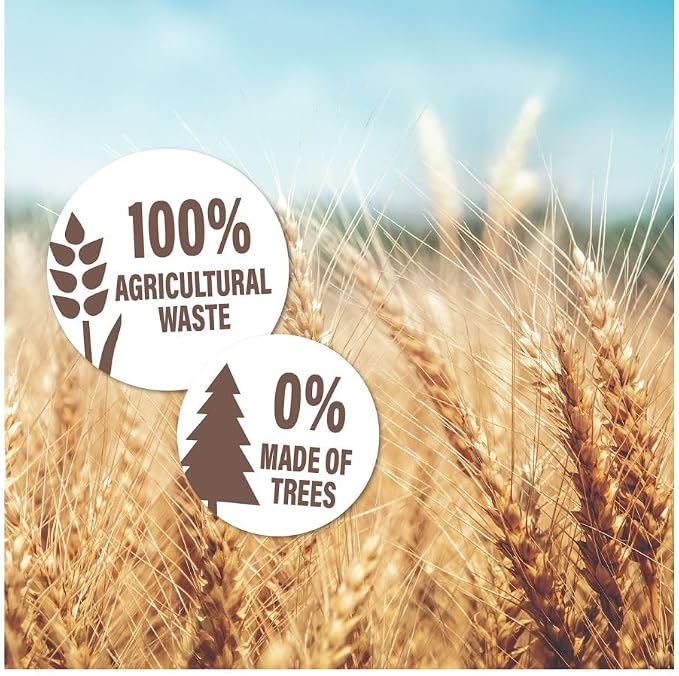 Jalema Tree-Free Two-Pocket Folders, 9" x 12", 10 Pack, Natural Beige | 10 folders, holds up to 50 sheets, cardboard made from agricultural waste, natural beige, for office, school or presentations