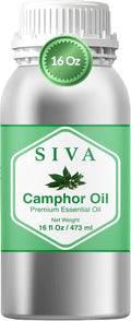 Siva Camphor Essential Oil, Huge Bottle, Large Size, 16 Fl Oz (473 ml) | Camphor Oil for Diffuser, Humidifier, Steam, Spray, Body Massage, Hair, Skin, Soap Making, Candle Making & DIY Blending