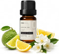 VINEVIDA [10ml] Scent NO. 1001 Fragrance Oil for Cold Air Diffusers - Inspired by Ritz Carlton