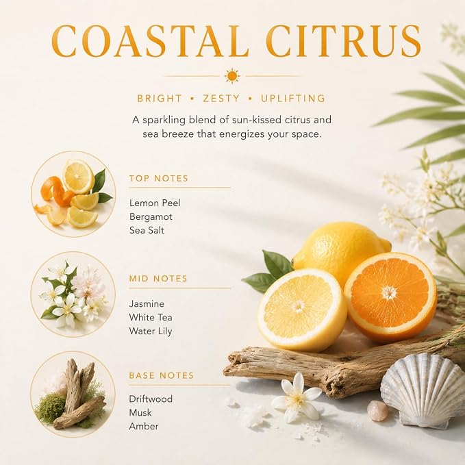 Reed Diffuser Set,3.38 fl oz (100 ml) - Coastal Citrus Oil Diffusers with 8 Reed Sticks, Home Fragrance Reed Diffuser for Bathroom Shelf Decor