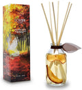 Reed Diffuser Set - Apple Harvest Scented Diffuser with Sticks | Autumn Fall Home Fragrance Reed Diffuser for Bedroom, Bathroom Shelf Décor, with Real Apple + Cinnamon Stick in the Bottle