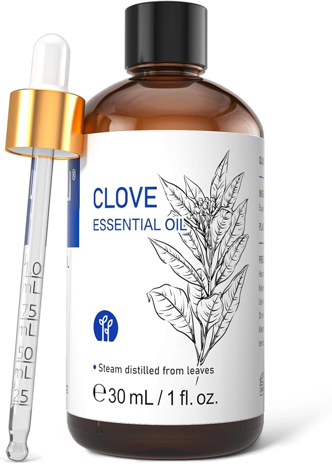 HIQILI Clove Essential Oil for Teeth and Gums, Aromatherapy, Skin Care | Clove Oil for Oral Care, Hair Care, Diffuser, DIY Cleaning Spray, Candle and Soap Making — 30mL / 1.01 fl oz