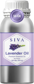 Siva Lavender Essential Oil, Huge Bottle, Large Size, 16 Fl Oz (473 ml) | Lavender Oil for Diffuser, Humidifier, Linen Spray, Skin Care, Hair Care, Body Massage, Soap, Candle, Bath Salt & DIY Blends