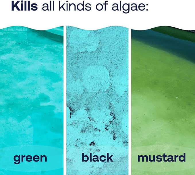 HTH 67244 Swimming Pool Care Algae Guard Ultra - Long Lasting Formula, Eliminates & Prevents Green, Black, and Mustard Algae, Fast Acting & Effective Swimming Pool Chemical, 32oz