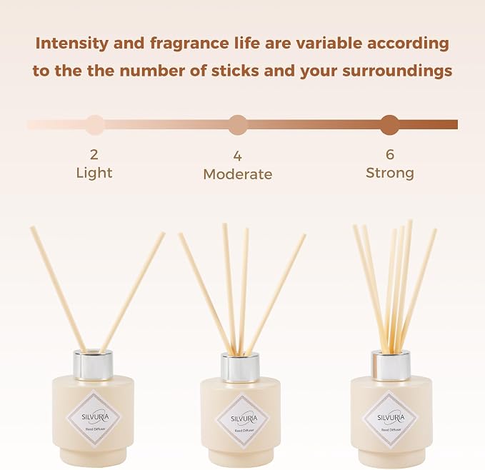 Eucalyptus & Mint Essential Reed Diffuser Set,100ml(3.38fl.oz) | Scented Oil,Room Diffuser with 6 Sticks for Living Room,Office,Bedroom