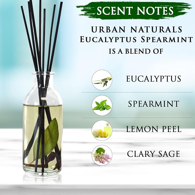 Reed Diffuser Set, Eucalyptus Spearmint - Stress Relief | Fragrance your Space, Fresh Scented Room Freshener and Home Decor, Home Gift Idea. Vegan