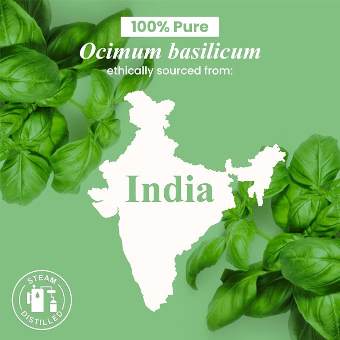 Handcraft Blends Basil Essential Oil – Huge 4 Fl Oz – 100% Pure and Natural – Premium Grade Essential Oil for Diffuser and Aromatherapy, Skin, Massage, Candle and Soap Making Fragrance