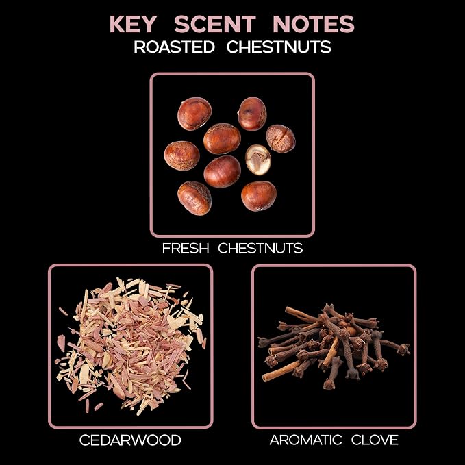 Reed Diffuser Set - Roasted Chestnuts Scented Diffuser with Sticks | Home Fragrance Reed Diffuser for Bedroom, Bathroom Shelf Décor, with Real Botanicals in the Bottle - Made in the USA
