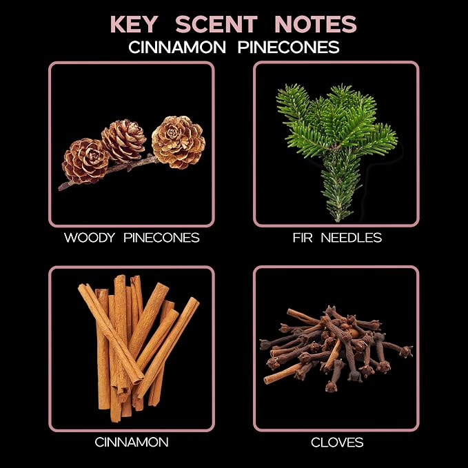 Reed Diffuser Set - Cinnamon Pine Cones Scented Diffuser with Sticks | Holiday Home Fragrance Reed Diffuser for Bedroom, Bathroom Shelf Décor, Real Pinecones + Cinnamon in the Bottle - USA Made