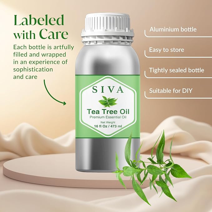 Siva Tea Tree Essential Oil, Huge Bottle, Large Size, 16 Fl Oz (473 ml) | Tea Tree Oil for Hair Care, Scalp Care, Face Care, Skin Care, Nail Care, Diffuser, Humidifier, Soap Making & DIY Blending