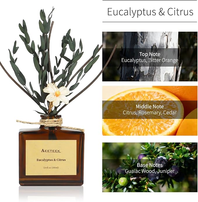 Reed Diffuser, Eucalyptus & Citrus Scented Oil Diffusers for Home with Dried Flowers, 3.4 Fl Oz Essential Oil Diffuser for Bathroom, Elegant Fragrance for Room Decor | Diffusers for Home with Handmade Flowers, 100ml Long-lasting Air Freshener for Bathr...