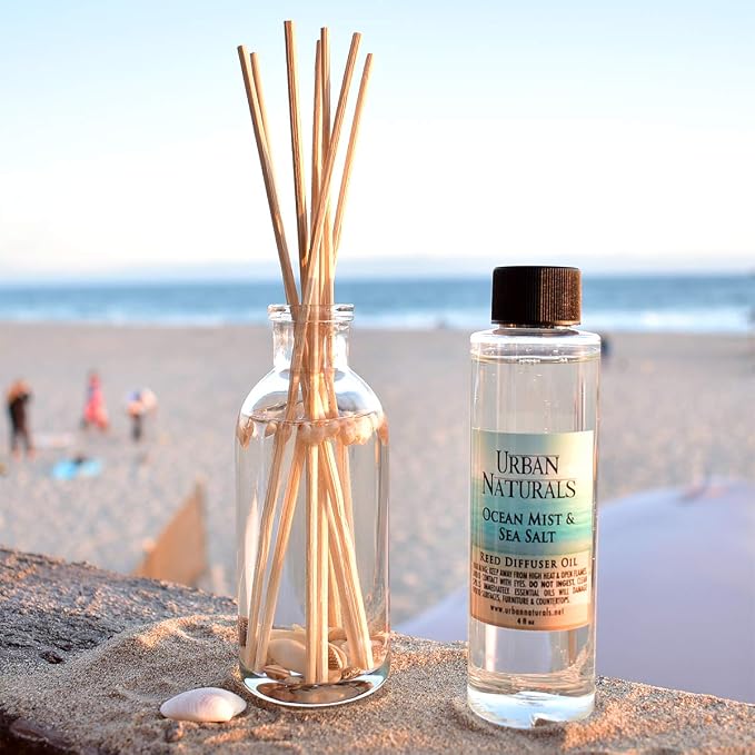 Reed Diffuser Set, Ocean Mist & Sea Salt - Bathroom Décor | Made with Essential Oils & Real Seashells, Decorative Air Freshener Room Diffuser