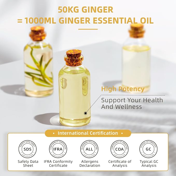 HIQILI Ginger Oil for Hair, Massage & Skin | Large Bottle for Extended Use, Body & Scalp, Soothes Tired Muscles after Activity, DIY Blends & Diffuser - 1000mL / 32 fl oz