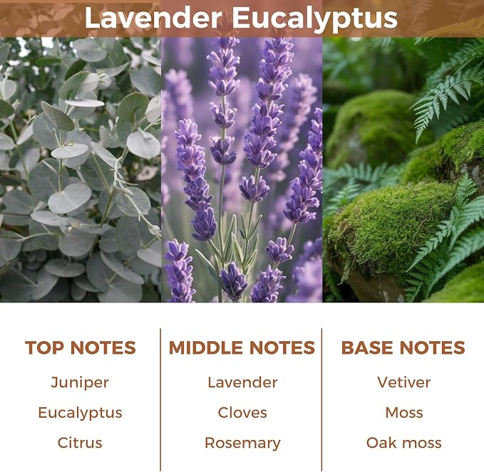 Reed Diffuser Set,Lavender Eucalyptus,3.38 fl.oz(100ml) | Essential Scented Oil Diffuser with 6 Sticks,Home Fragrance for Office,Bedroom,Bathroom Decor