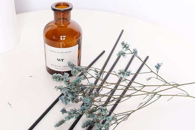 Reed Diffuser Set for Bathroom Decor, Sticks Diffuser with Essential Oils Included | Ocean Scent 4.0 fl oz Fragrance Oil | Defusers for Home Living Room Shelf Decor Apartment Essentials