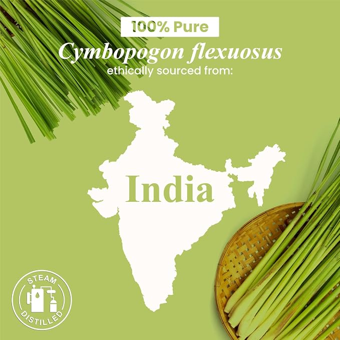 Handcraft Blends Lemongrass Essential Oil – Huge 4 Fl Oz – 100% Pure and Natural – Premium Grade Essential Oil for Diffuser and Aromatherapy, Skin, Massage, Candle and Soap Making Fragrance