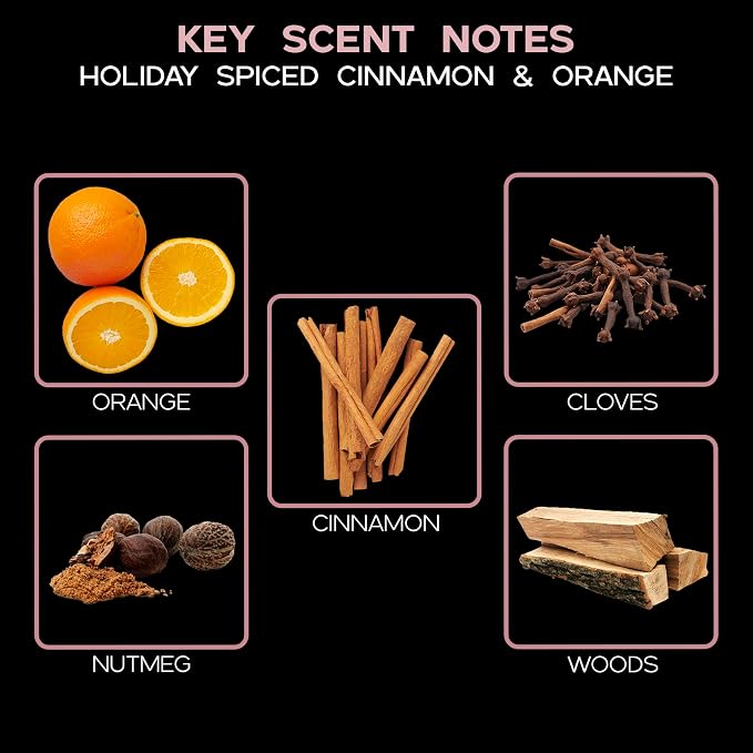 Reed Diffuser Set - Spiced Pomander Scented Diffuser with Sticks | Holiday Home Fragrance Reed Diffuser for Bedroom, Bathroom Shelf Décor, with Real Botanicals in the Bottle - Made in the USA