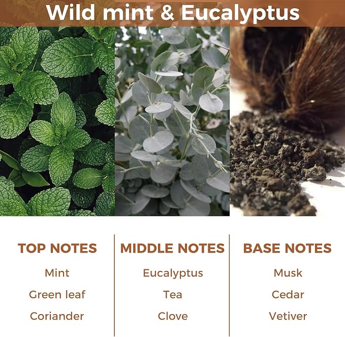 Reed Diffuser Set,Wild Mint & Eucalyptus Essential Oil Diffuser | 100ml(3.38fl.oz) with 6 Reed Sticks,Fragrance for Home,Office,Bedroom,Bathroom,Flame Free