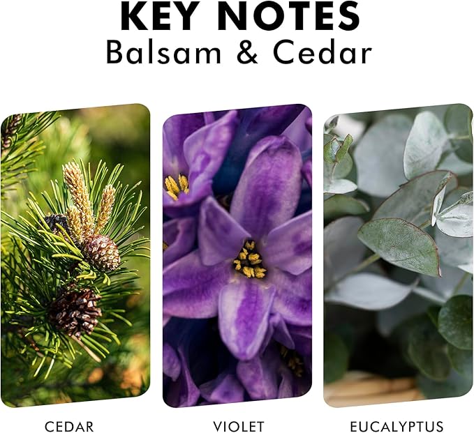 Xcleen Reed Diffusers for Home, Balsam & Cedar Diffuser with Sticks, 3.7 Oz Scented Fragrance Oil Diffuser for Bedroom, Bathroom Decor