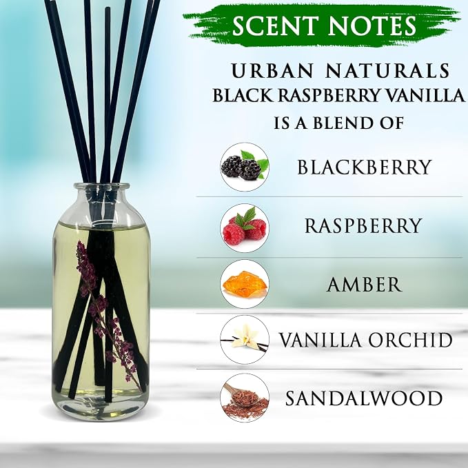 Reed Diffuser Set, Black Raspberry Vanilla - Shelf Décor | Made with Essential Oils & Real Botanicals, Blackberry, Amber, Vanilla Orchid & Sandalwood, Made in the USA