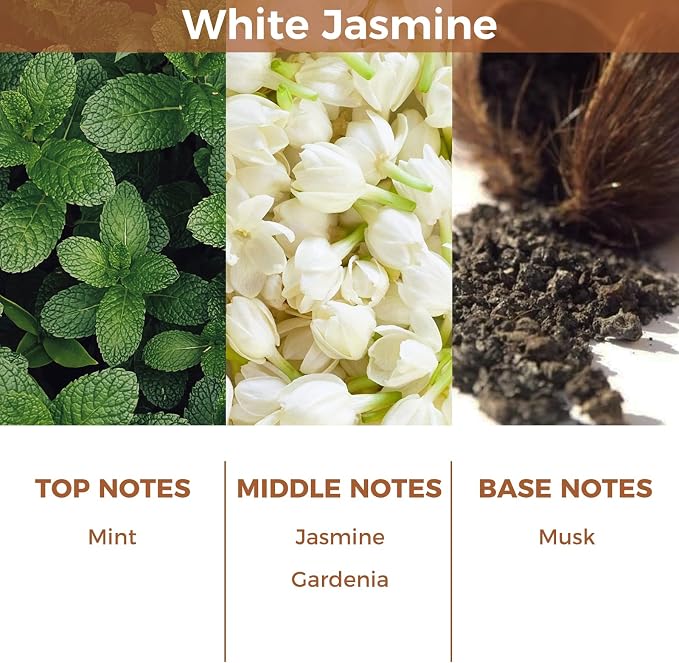 Reed Diffuser Set with White Jasmine Scent,100ml(3.38 oz) | Essential Oil & 6 Reed Sticks,Long-Lasting Fragrance for Home,Bathroom,Bedroom,Perfect Housewarming Gift,Room Freshener