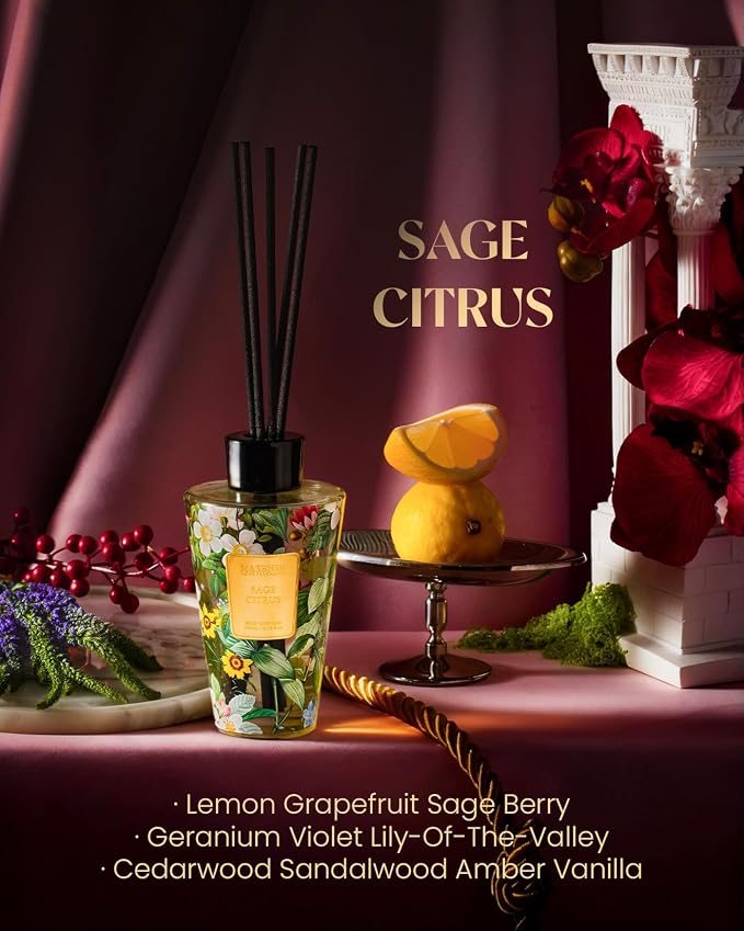 M&SENSE Reed Diffuser Set, Sage Citrus, 8.79 oz Natural Essential Oil | Non-Toxic Organic, Long-Lasting Fragrance, Ideal for Home Office, Bedroom, Gifts for Women