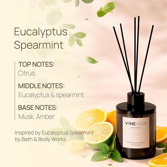 VINEVIDA | Eucalyptus Spearmint | Reed Diffuser for Home & Bathroom | Long-Lasting Scent Sticks Set | Oil Stick Diffuser | Bathroom Scent