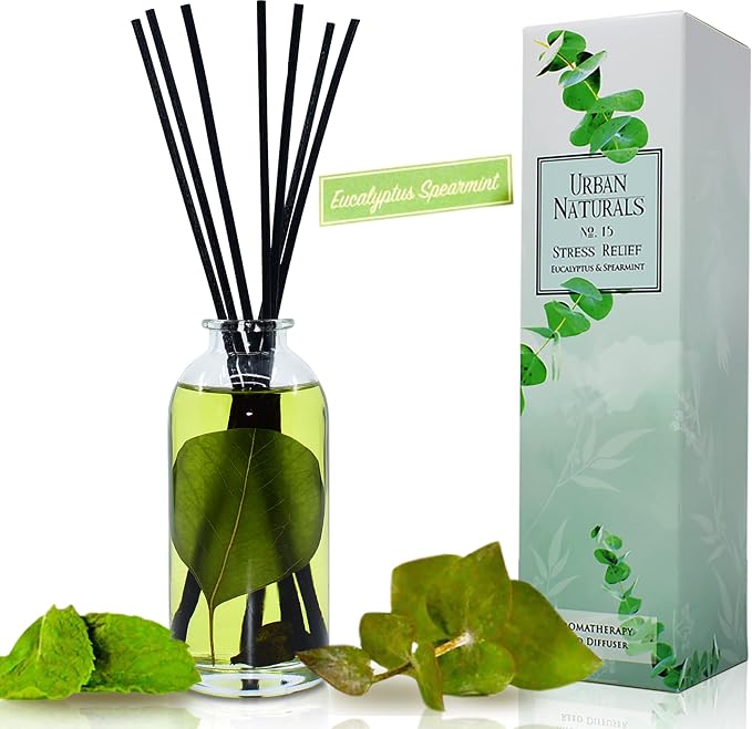 Reed Diffuser Set, Eucalyptus Spearmint - Stress Relief | Fragrance your Space, Fresh Scented Room Freshener and Home Decor, Home Gift Idea. Vegan