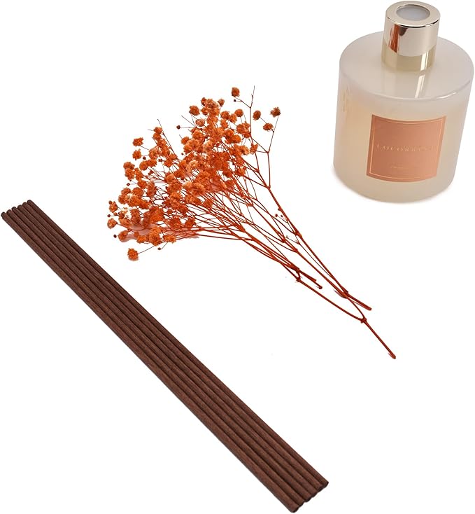 Premium Reed Diffuser Set with Preserved Baby's Breath & Cotton Stick Coconut Lime | 6.7oz Scent Fragrance Oil Diffuser for Bedroom Bathroom Home Décor