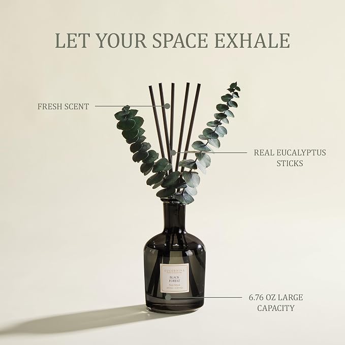 Black Forest Reed Diffuser, 6.76 oz | Real Dried Eucalyptus Leaves, 8 Reeds, Long-Lasting Essential Oil, Home Fragrance, Bedroom or Bathroom Décor