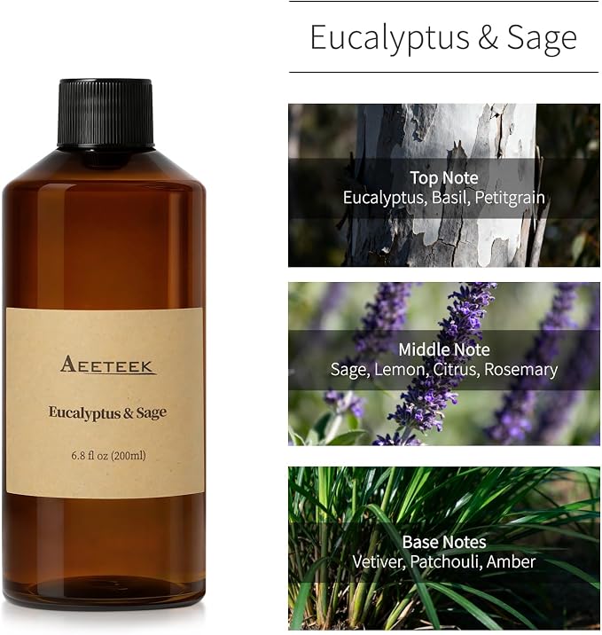 Reed Diffuser, Sage & Eucalyptus Essential Oil Refill | 6.8 Fl Oz (200ml) Scented Diffusers Oils with Diffuser Sticks, Long-Lasting Fragrance for Home Decor