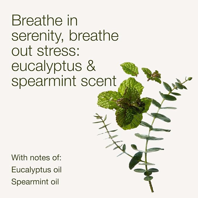 Bath & Body Works Wallflowers Refills, Eucalyptus Spearmint Scent, Plug-In Air Freshener Refills for Bedrooms, Bathrooms & Living Spaces, 2 Pack