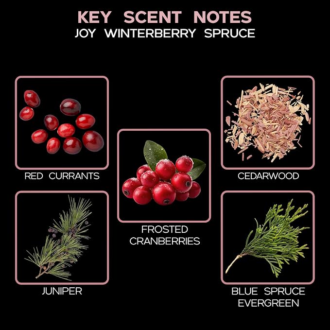 Reed Diffuser Set - Joy Winterberry Spruce Scented Diffuser with Sticks | Holiday Home Fragrance Reed Diffuser for Bedroom, Bathroom Shelf Décor, with Real Botanicals in the Bottle - Made in the USA
